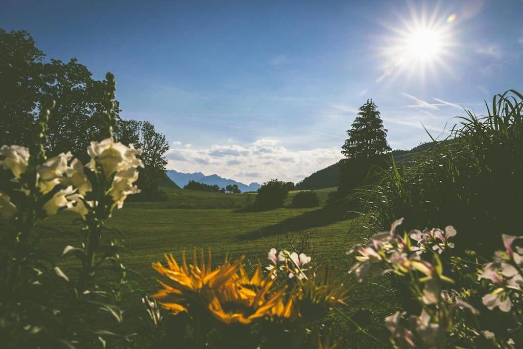 Fritzis Alpenidyll „Sommertraum & Winterromantik” ザマーベルク エクステリア 写真