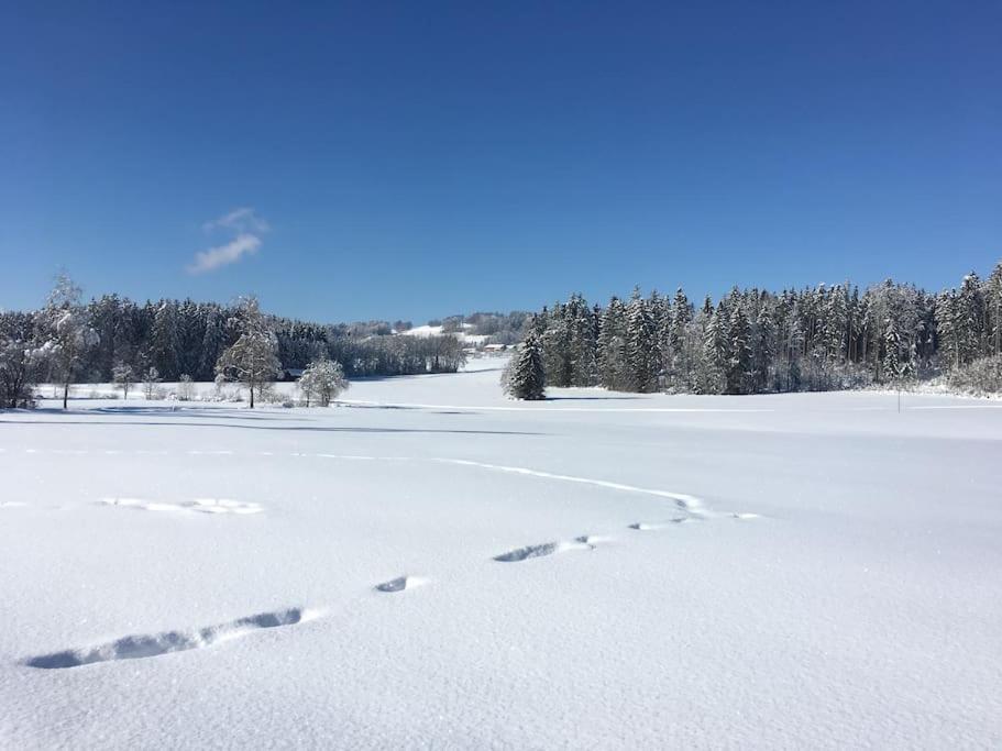 Fritzis Alpenidyll „Sommertraum & Winterromantik” ザマーベルク エクステリア 写真